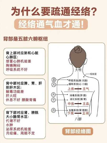 为什么要做经络养生