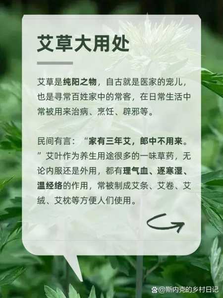 经络养生的好处及功效