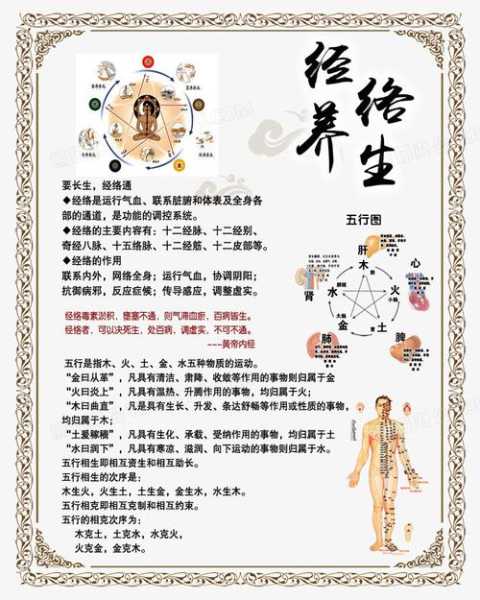 经络养生怎么做