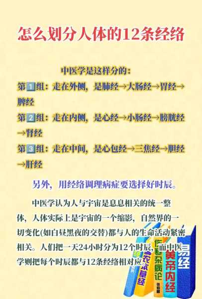 中医经络养生知识