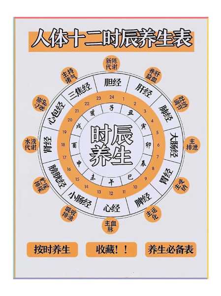 中医养生知识健康养生