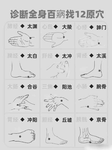 经络养生专业知识
