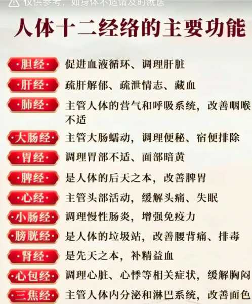 经络养生专业知识