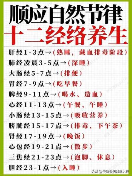 全身经络专业知识十二经络讲解