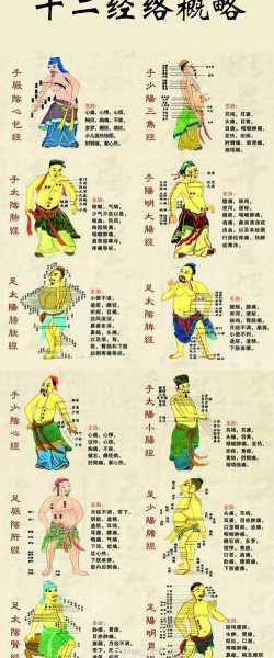全身经络专业知识十二经络讲解