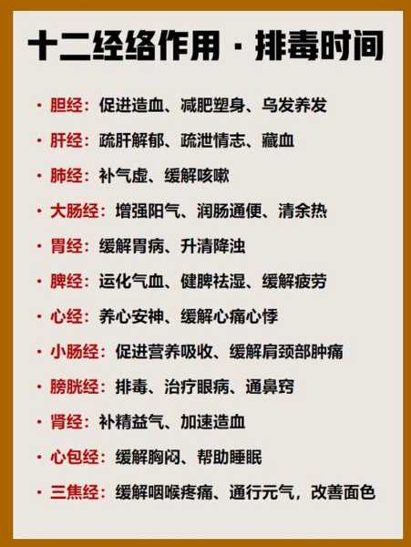 中医经络调理有什么作用
