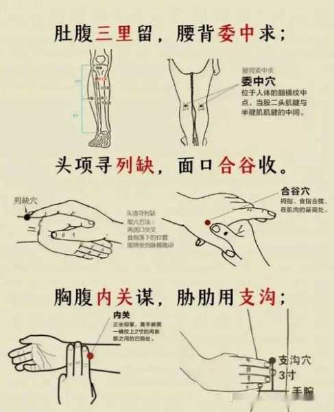 十二经络按摩顺序