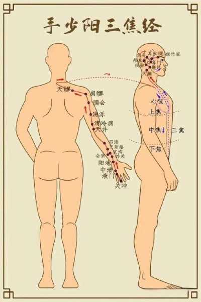 十二经络按摩顺序