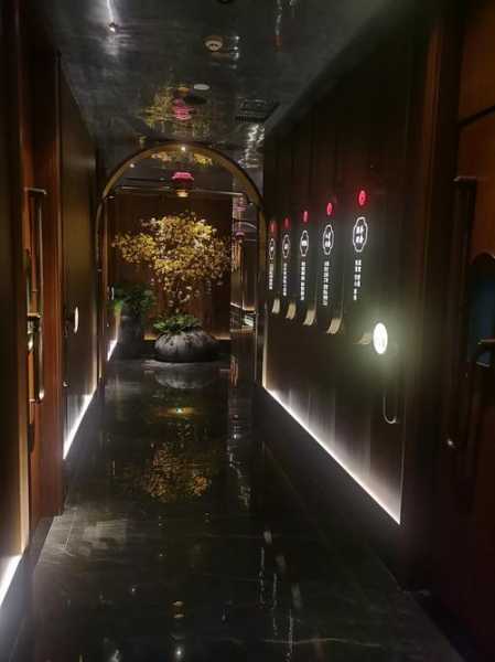 上个月去了苏州推拿会所店,这家店的风格,真让人眼前一亮