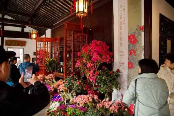 前天去苏州解压会馆,高档次、高逼格、适中消费