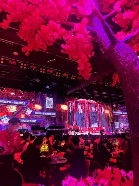 去了苏州解压会馆,高档次、高逼格、适中消费