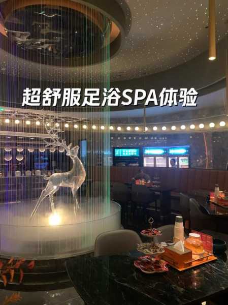 去了长沙足浴会馆,感受高端养生服务