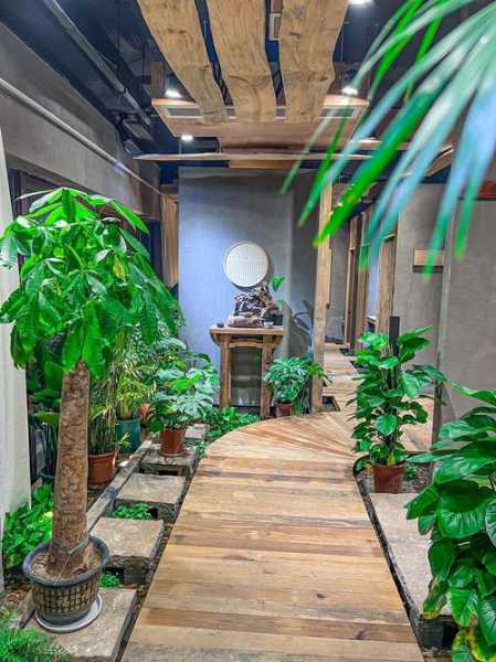 去了南昌解压会所店,喧嚣都市中的一处世外桃源