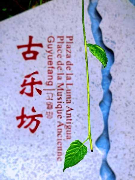 上个月去了杭州油压会馆,喧嚣都市中的一处世外桃源