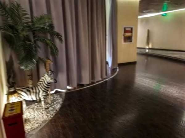 前天去重庆推拿会馆,使人陶醉的好地方