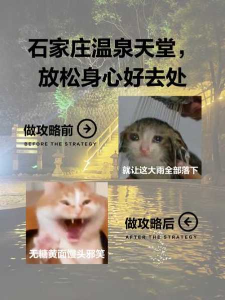上个月去了石家庄休闲会所,开启健康养生的好旅程