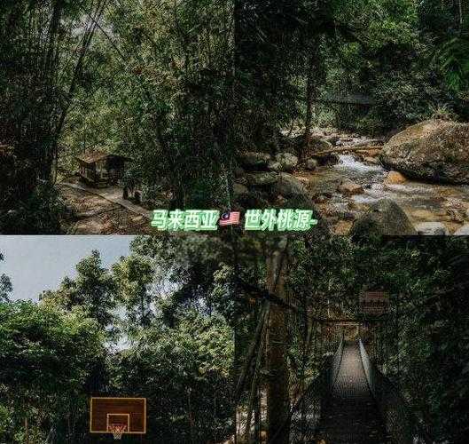 上个月去喧嚣都市中的一处世外桃源