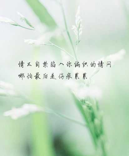 前天去济南推拿会馆,不负遇见,不负此生