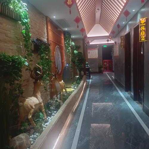 前天去太原足浴会所店,感受高端养生服务