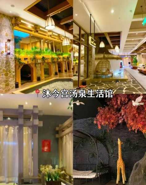 去了郑州油压会所,令人不得不去的好去处