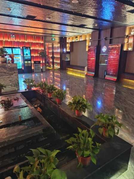 前天去武汉休闲会所店,喧嚣都市中的一处世外桃源