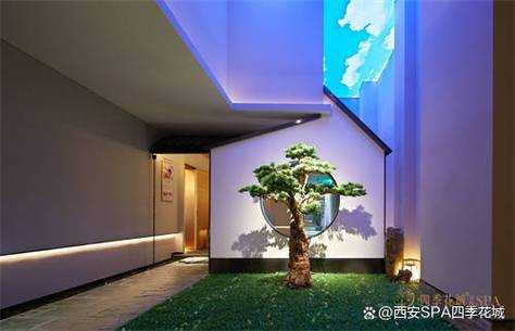 去了西安男士spa会所店,风格和体验都蛮好的