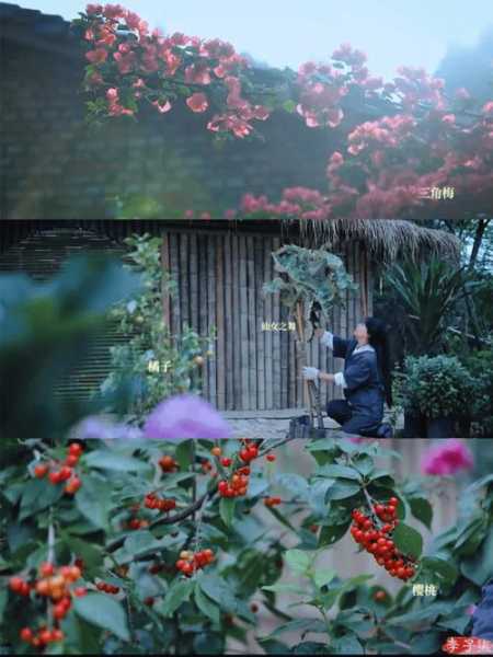 前天去广州男士spa会所,让您向往和陶醉的地方