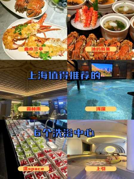 包含前天去上海洗浴会馆，风格和体验都蛮好的的词条