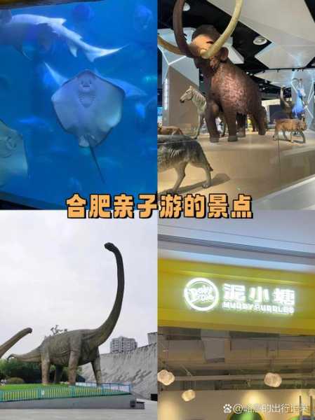 前天去合肥休闲会馆,开启梦幻生活的旅程