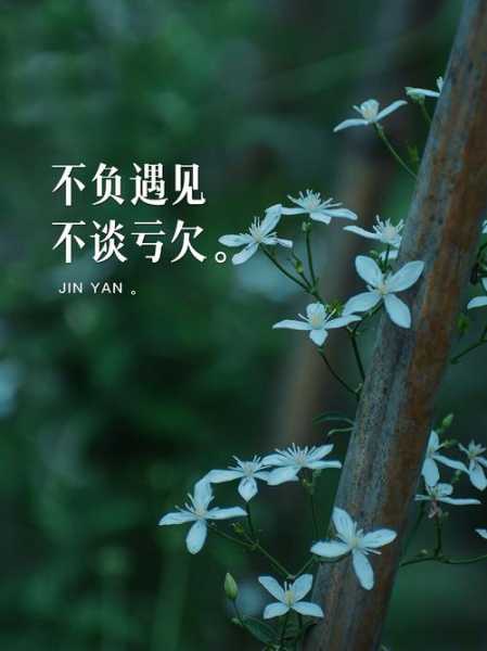 去了深圳休闲会所,不负遇见,不负此生