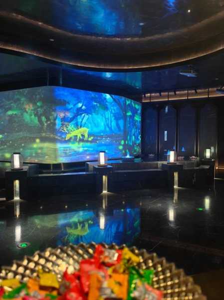 去了苏州解压会所,2025年新项目超级体验
