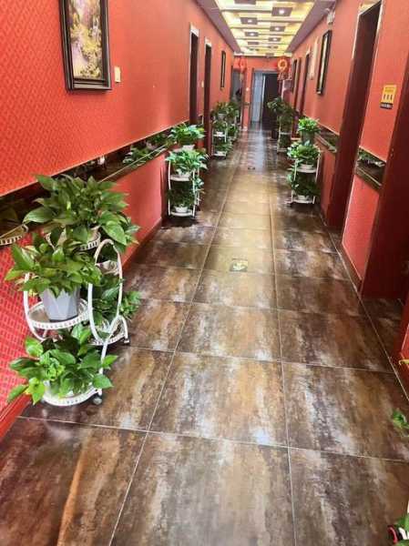 去了合肥休闲会所店,开启尊贵享受旅程