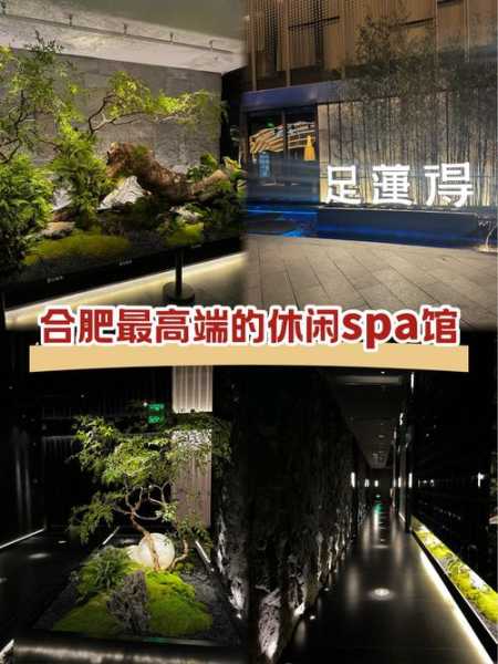 前天去合肥休闲会馆,这家的服务我是真心喜欢