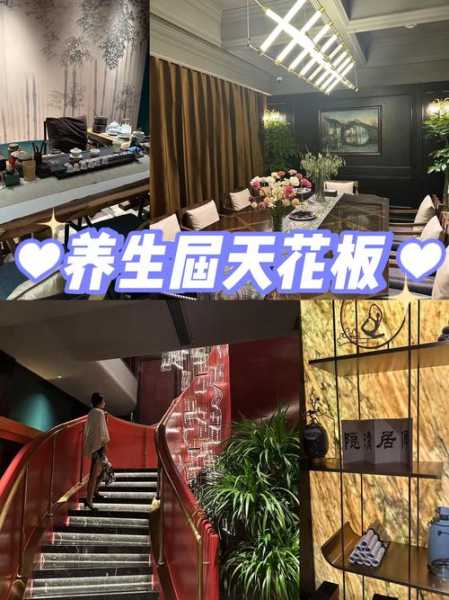 前天去上海解压会所，陪伴与养生都不误