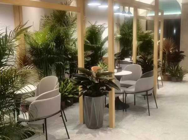 上个月去了南京桑拿会所店,不负遇见,不负此生